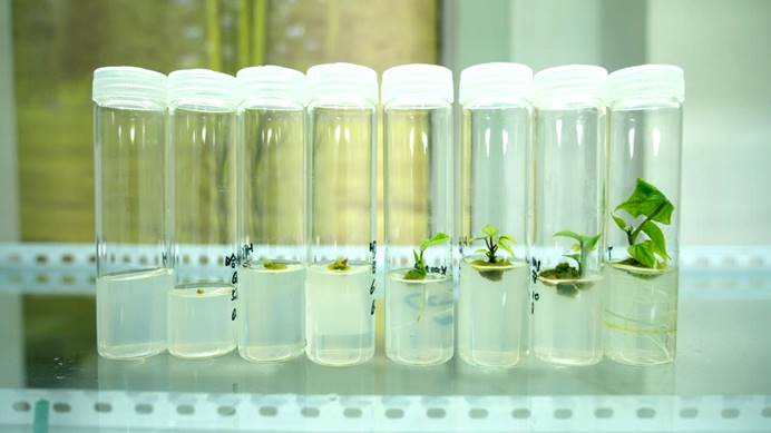 ��ҳ-RG�ʼ���Ѷ�����˹ٷ���վ