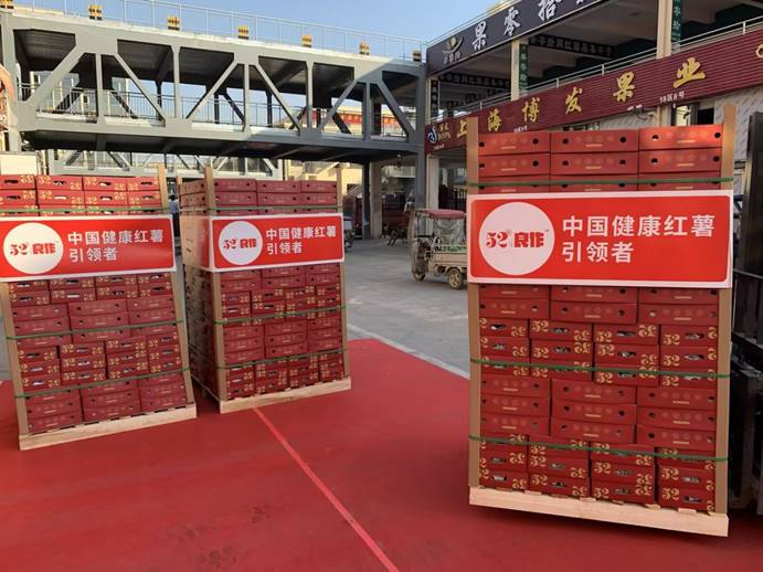 ��ҳ-RG�ʼ���Ѷ�����˹ٷ���վ