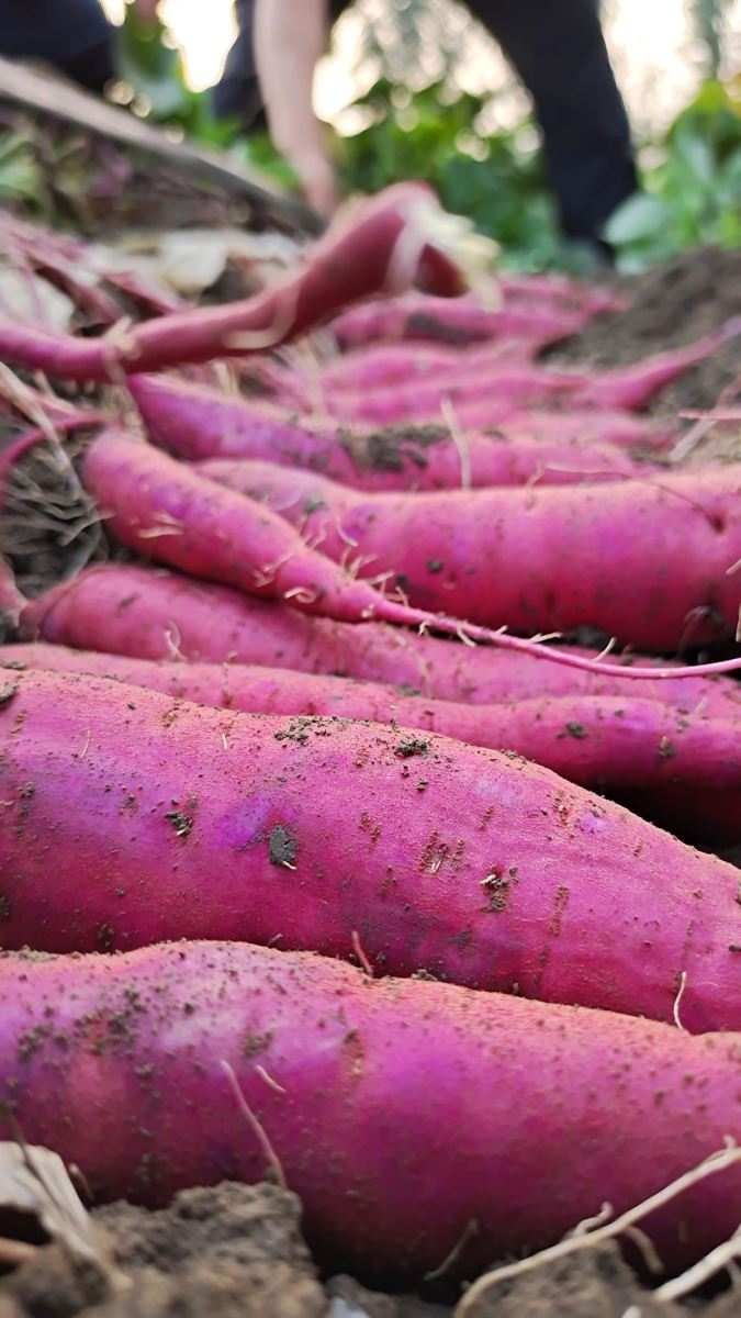 ��ҳ-RG�ʼ���Ѷ�����˹ٷ���վ