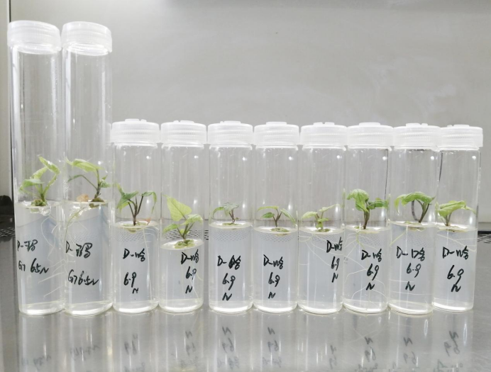 ��ҳ-RG�ʼ���Ѷ�����˹ٷ���վ