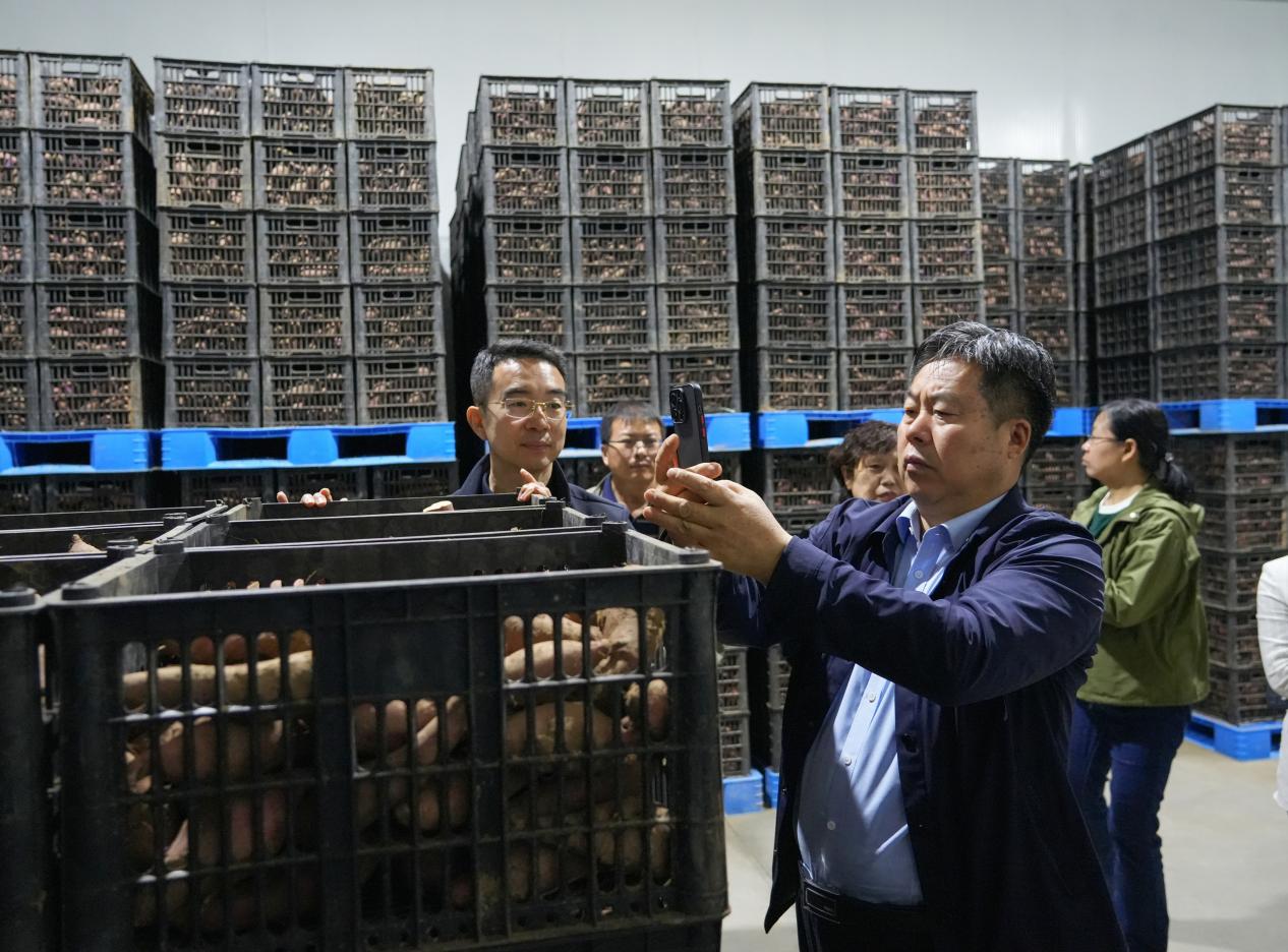 ��ҳ-RG�ʼ���Ѷ�����˹ٷ���վ