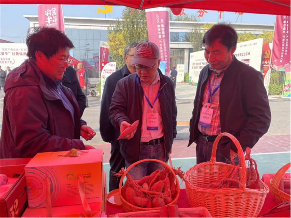 ��ҳ-RG�ʼ���Ѷ�����˹ٷ���վ