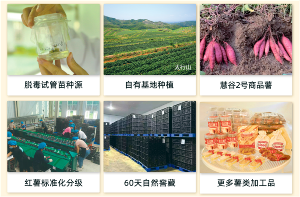 ��ҳ-RG�ʼ���Ѷ�����˹ٷ���վ