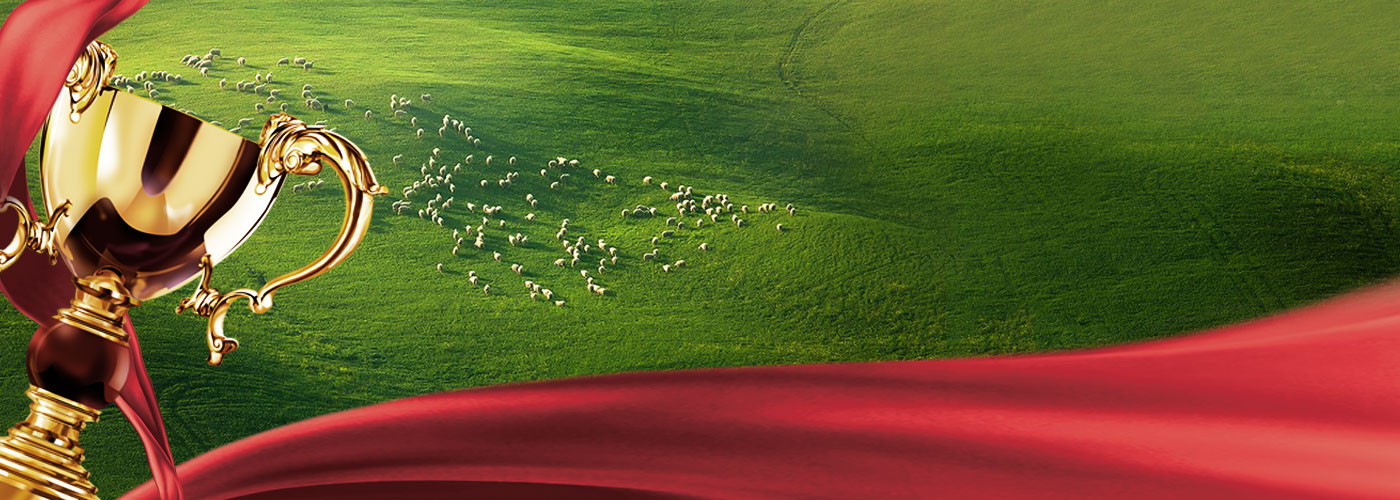 pg电子_首页官网入口