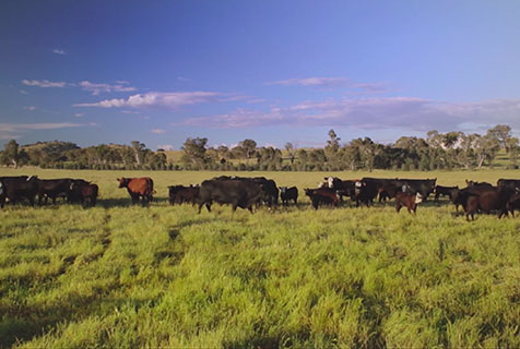 pg电子_首页官网入口