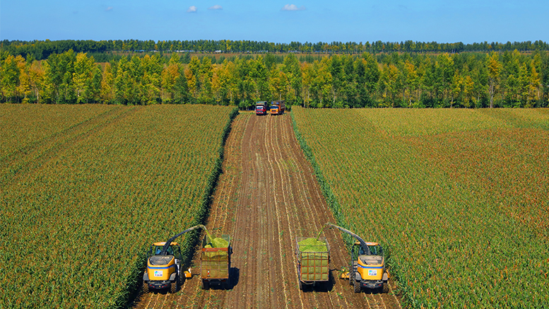 pg电子_首页官网入口