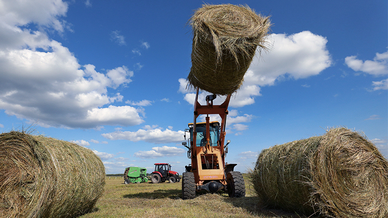 pg电子_首页官网入口
