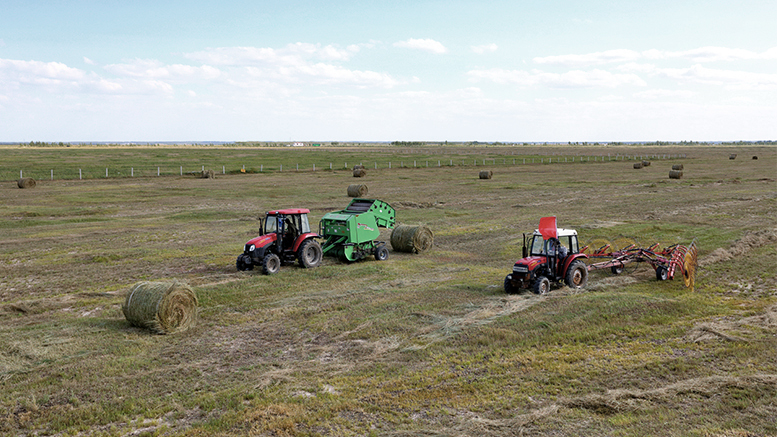 pg电子_首页官网入口