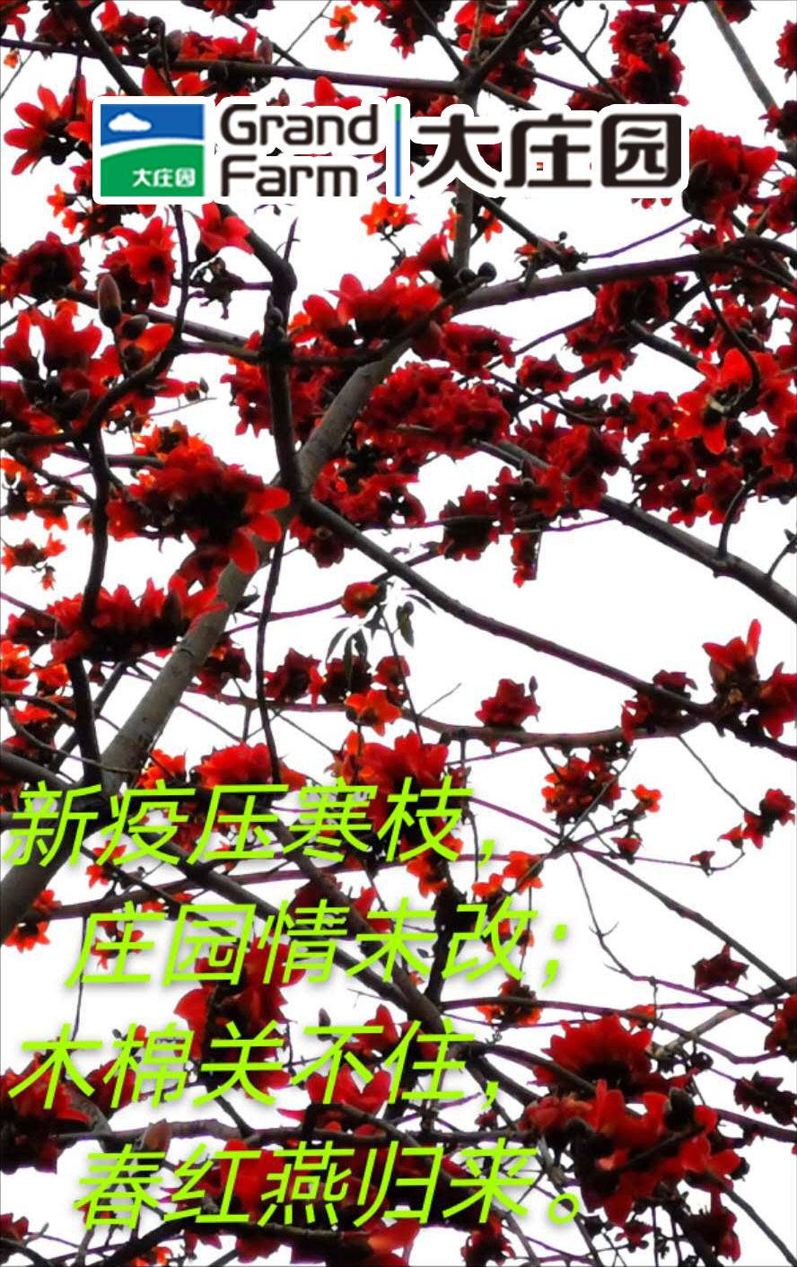 pg电子_首页官网入口