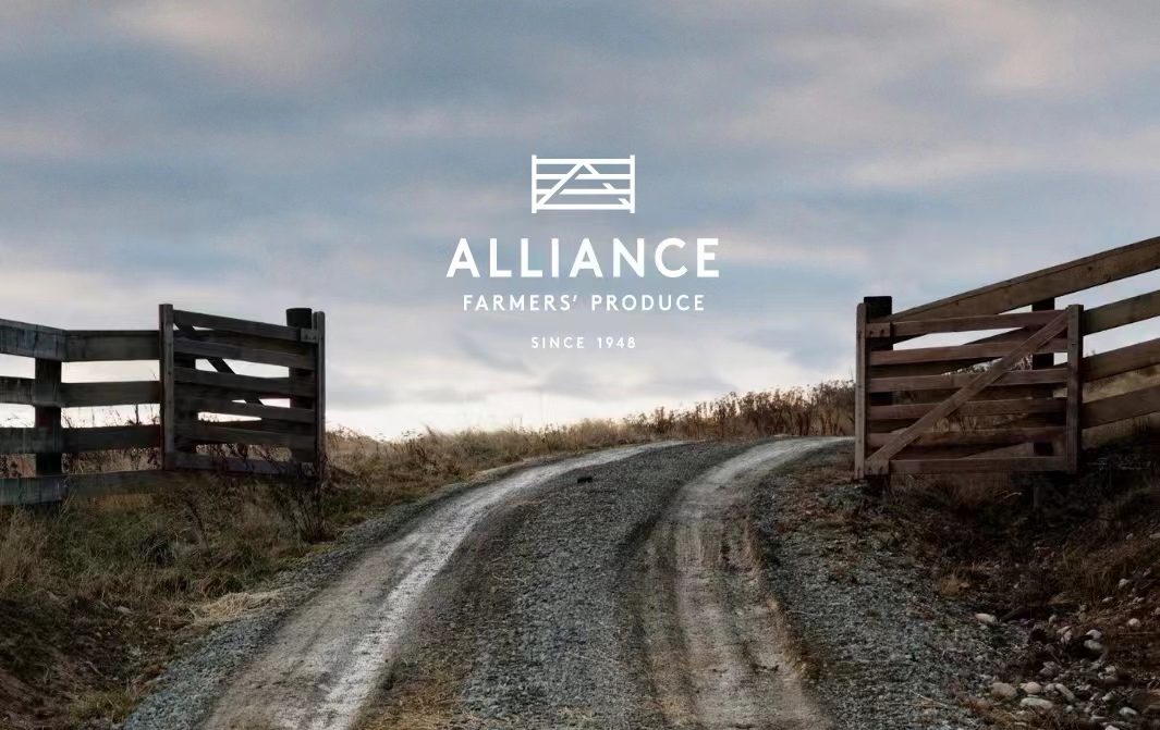 pg电子_首页官网入口