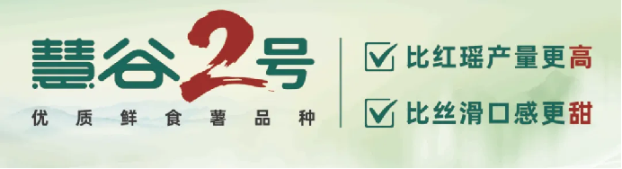 ��ҳ-RG�ʼ���Ѷ�����˹ٷ���վ