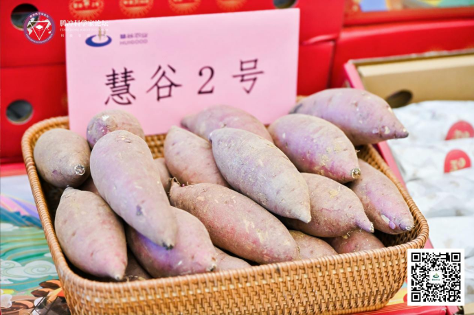 ��ҳ-RG�ʼ���Ѷ�����˹ٷ���վ