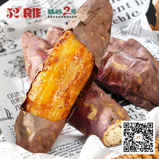 ��ҳ-RG�ʼ���Ѷ�����˹ٷ���վ