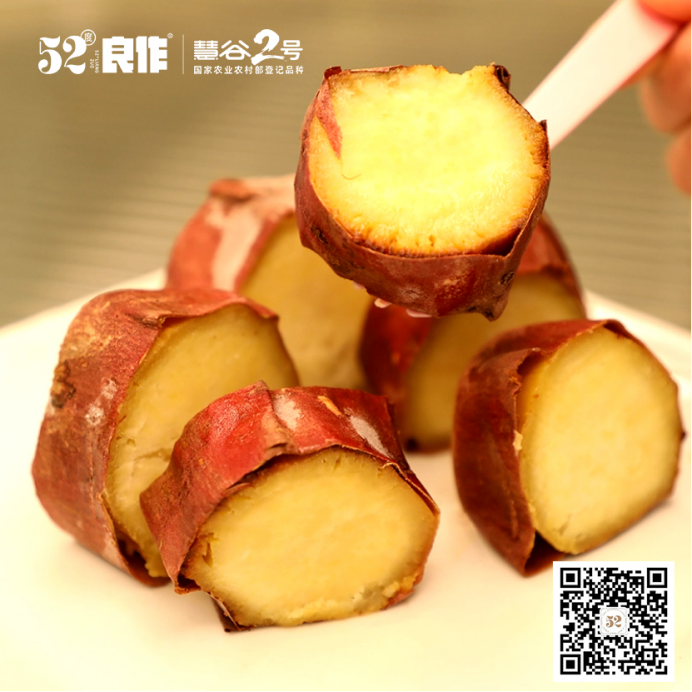 ��ҳ-RG�ʼ���Ѷ�����˹ٷ���վ