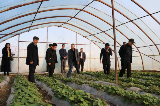 ��ҳ-RG�ʼ���Ѷ�����˹ٷ���վ