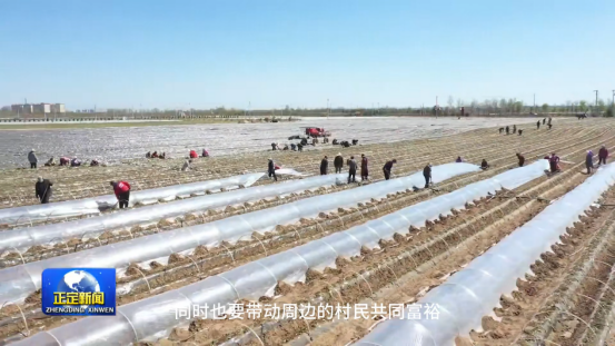 ��ҳ-RG�ʼ���Ѷ�����˹ٷ���վ