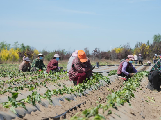 ��ҳ-RG�ʼ���Ѷ�����˹ٷ���վ