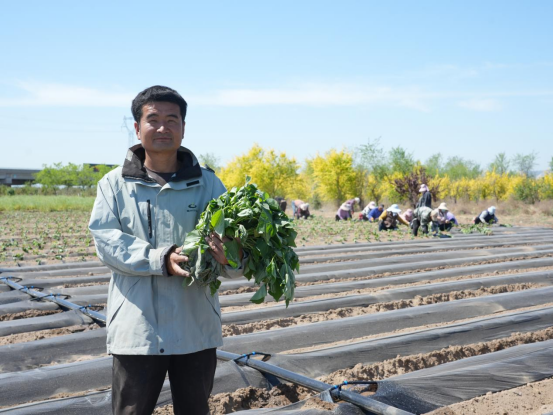 ��ҳ-RG�ʼ���Ѷ�����˹ٷ���վ