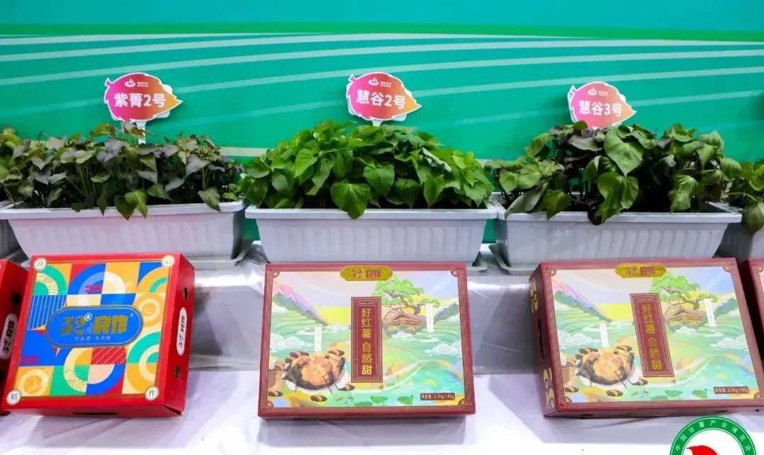 ��ҳ-RG�ʼ���Ѷ�����˹ٷ���վ