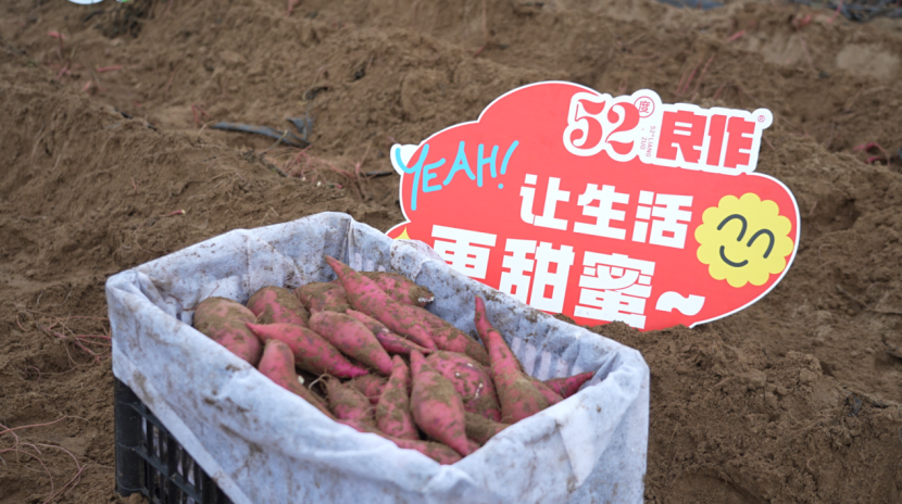 ��ҳ-RG�ʼ���Ѷ�����˹ٷ���վ