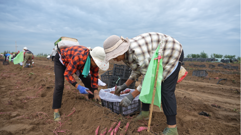 ��ҳ-RG�ʼ���Ѷ�����˹ٷ���վ