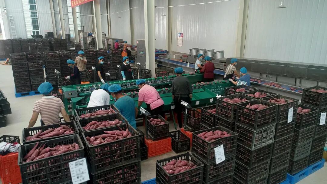 ��ҳ-RG�ʼ���Ѷ�����˹ٷ���վ