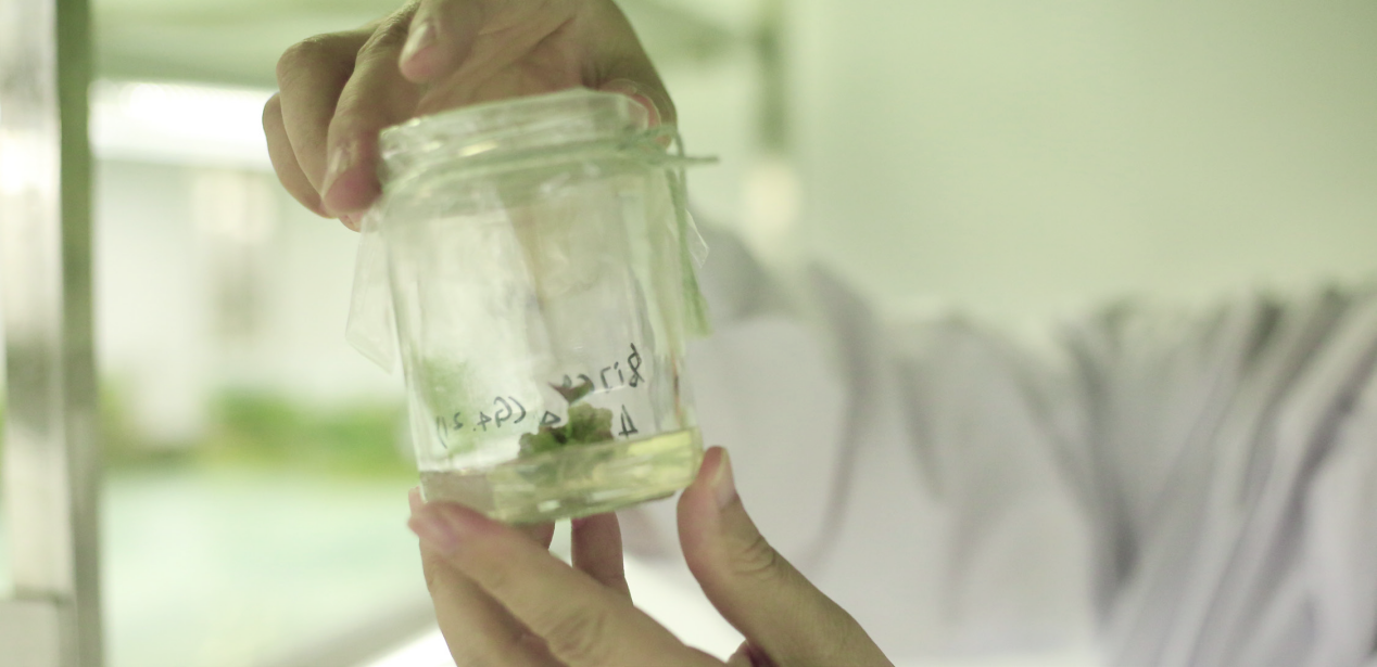 ��ҳ-RG�ʼ���Ѷ�����˹ٷ���վ