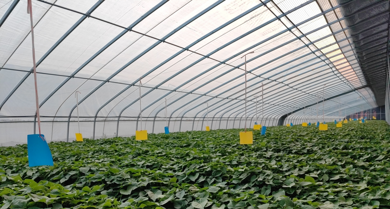 ��ҳ-RG�ʼ���Ѷ�����˹ٷ���վ