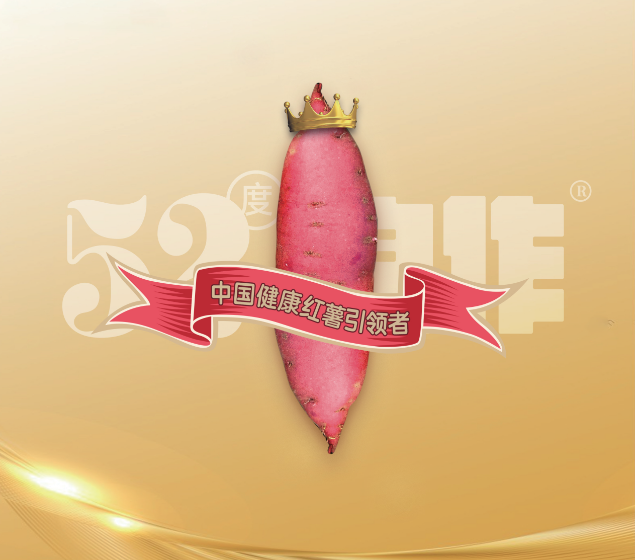 ��ҳ-RG�ʼ���Ѷ�����˹ٷ���վ