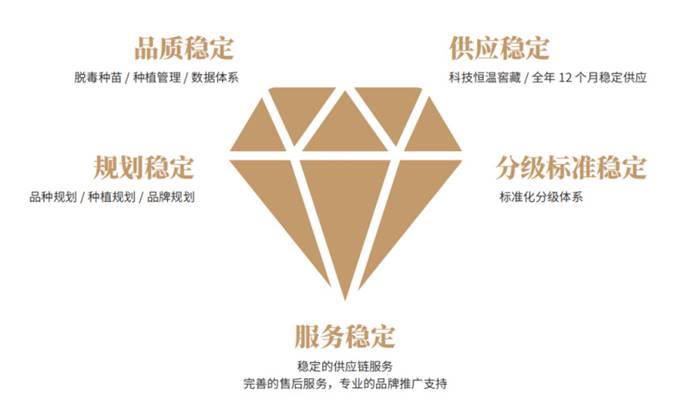 ��ҳ-RG�ʼ���Ѷ�����˹ٷ���վ