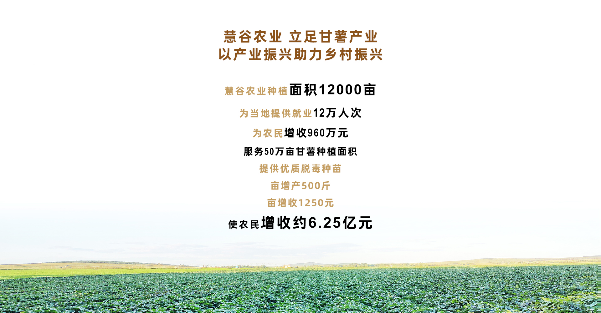 ��ҳ-RG�ʼ���Ѷ�����˹ٷ���վ